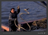 Image 75485 - RaySoda 드림픽쳐