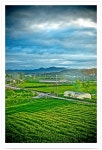 Image 760661 - RaySoda 푸른목장