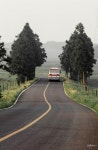Image 766545 - RaySoda dr_photo™