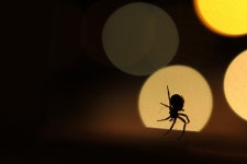 Image 770027 - RaySoda *~푸른태양~*