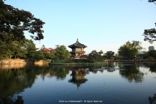 셔터더듬이™ - RaySoda