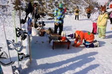 Image 780052 - RaySoda R9파랑새