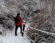 ▒▒가제트▒▒ - RaySoda