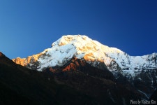 Image 780179 - RaySoda Vincent Mu Jo Kim