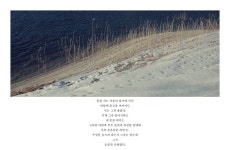 푸른정원 - RaySoda