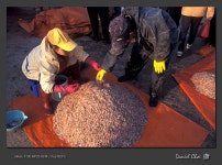 Image 79248 - RaySoda 드림픽쳐