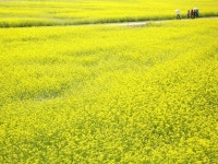 Image 793231 - RaySoda 인상주의
