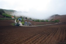 유쾌한™/권기욱 - RaySoda