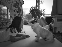 소행성 B612호 - RaySoda