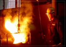 조이펫™ - RaySoda