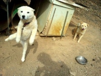 Image 834924 - RaySoda 진금이