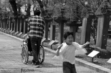 Image 836943 - RaySoda 봄날ⓕ