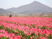 Image 837512 - RaySoda 인상주의