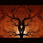 꿈의시작 - RaySoda