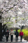 Image 839018 - RaySoda 얀손/최석환