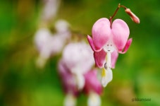 꿈의시작 - RaySoda