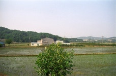 내사진기 - RaySoda