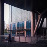 Image 849010 - RaySoda 메타쉐콰이어