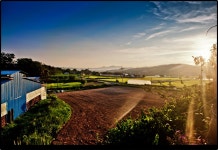 푸른목장 - RaySoda