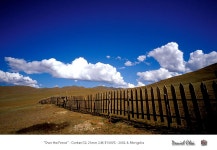 드림픽쳐 - RaySoda