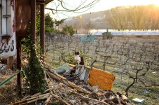 요방리 청년 - RaySoda