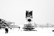 shema/쉐마 - RaySoda