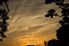 요방리 청년 - RaySoda