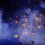 꿈의시작 - RaySoda