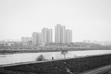 Image 899010 - RaySoda 얼큰불곰
