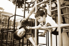 동하준표 - RaySoda