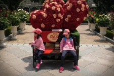 푸른목장 - RaySoda