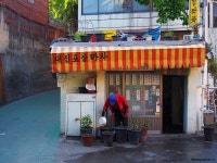 정일 - RaySoda