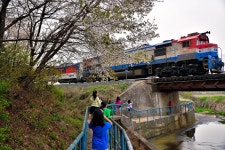 Image 912765 - RaySoda 들꽃마당