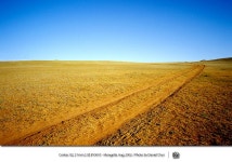 드림픽쳐 - RaySoda