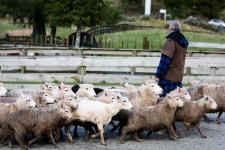 지구를 떠도는 섬마을총각 - RaySoda