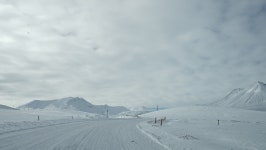 Image 922781 - RaySoda 狼