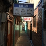 풍금나무 - RaySoda