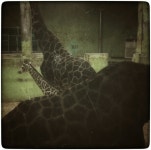 난 공중화장실을 싫어했다 - RaySoda