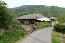 Image 944203 - RaySoda Ecologist