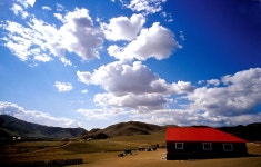 드림픽쳐 - RaySoda