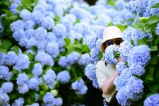 꿈의시작 - RaySoda