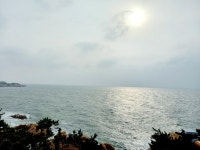 Image 983006 - RaySoda 놀부가 꾸는 꿈