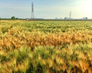 놀부가 꾸는 꿈 - RaySoda