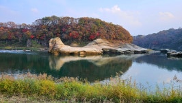 Image 986687 - RaySoda CatchTheRainbow