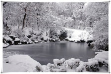 작은행복 - RaySoda