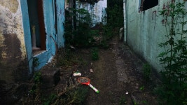 Image 994502 - RaySoda 초일