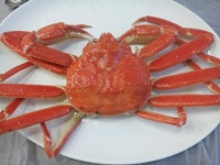 ㅃㄱㅈㅅ) 속초 대포항에서 대게 냠냠 | 보배드림 교통사고/블박