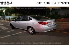 번호판 가리고 횡단보도에 주차 | 보배드림 교통사고/블박