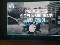 대구 두류 네거리 사고 내용!!! | 보배드림 교통사고/블박