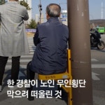 경기도 남양주시 별내동에 설치된 횡단보도 대기 의자 (중앙일보 보도) | 보배드림 교통사고/블박